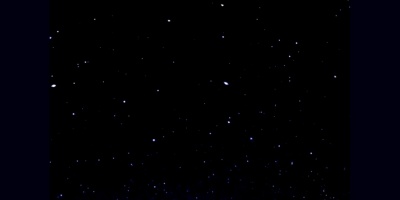 La primera misi�n civil al espacio completa su tripulaci�n de cuatro personas