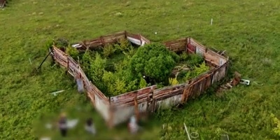 Incautaron 57 plantas y 1 kilo 700 gramos de marihuana que se produc�a de forma ilegal en una chacra 