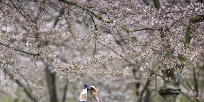  Fin de semana soleado