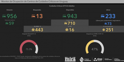 Salud P�blica lanz� un monitoreo en tiempo real de la ocupaci�n en CTI