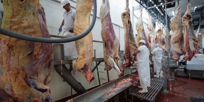 La exportacin de carne uruguaya creci 20 % en el primer trimestre del ao