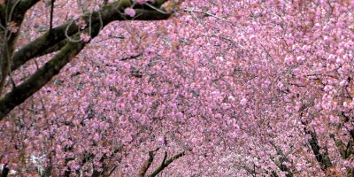 Fin de semana soleado