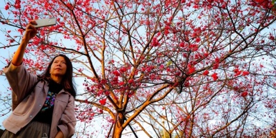 La OTAN advierte de que el calentamiento global hace el mundo "m�s peligroso"