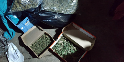 Tres condenados en dos procedimientos antidrogas en Cerro Largo