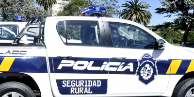 Tres formalizados por robo de ganado en Rocha