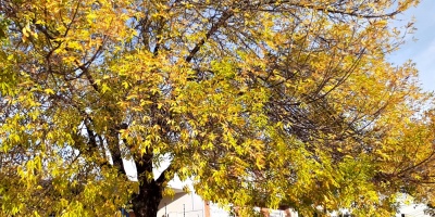 Fin de semana oto�al