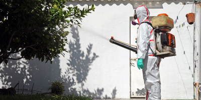 El dengue retrocede en Latinoam�rica tras las cifras r�cord de 2019