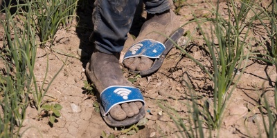 ONU insta a Chile a suspender "de inmediato" expulsiones de migrantes