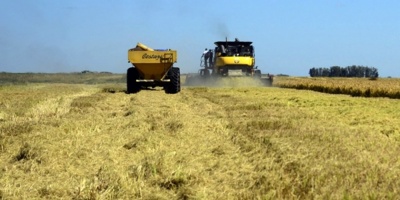 Expertos dicen que agricultura digital es clave para el desarrollo en Amrica