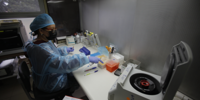 Logran reducir a la mitad el tiempo de curaci�n de las lesiones musculares