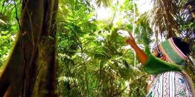 La p�rdida de biodiversidad amenaza la nutrici�n humana en la Amazon�a