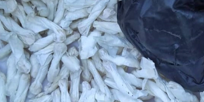 Cinco personas detenidas por comercializaci�n de drogas en R�o Branco