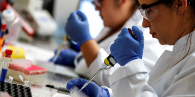 Una bacteria se convierte en la esperanza de la lucha contra el dengue