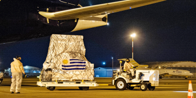 Lleg� un nuevo lote con 57.330 dosis de Pfizer al pa�s