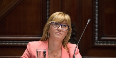 Presentaron proyecto de ley para protecci�n a embarazadas en el marco de la pandemia