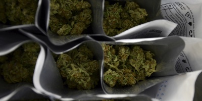 ONU: El consumo de cannabis y sedantes aument� durante la pandemia de covid