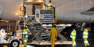 Arribaron al pa�s 58.500 dosis m�s del laboratorio Pfizer y contin�a la vacunaci�n