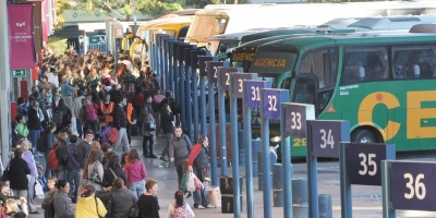A partir de este 1 de julio exigirn cdula a perros que viajen en transporte interdepartamental