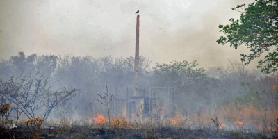 La Amazona brasilea sufre en junio sus peores incendios en 14 aos