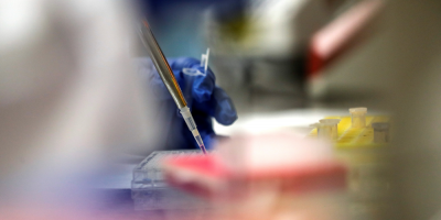 Una investigacin cientfica apunta a un origen zoontico de la covid-19