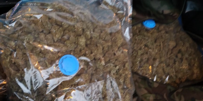 Incautaron m�s de 16 kilos de marihuana en frontera de Rocha  