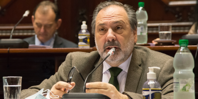 LUC: Gandini se�al� que "volver�amos al tiempo Bonomi" si se derogan art�culos de seguridad