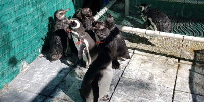 SOCOBIOMA solicit� colaboraci�n para construir su nuevo centro de rehabilitaci�n