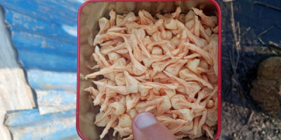 Desmantelaron punto de venta de drogas en Canelones y hay dos detenidos