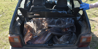 Incautaron m�s de 300 kilos de de carne faenada y 179 caravanas de vacunos en Lavalleja