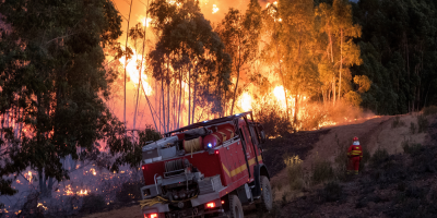 Dos incendios arrasan casi mil hect�reas en la regi�n espa�ola de Galicia