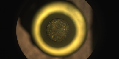 El rover Perseverance de la NASA recoge la primera muestra de Marte