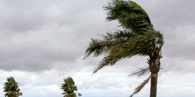 Inumet advierte por vientos fuertes que afectan la zona costera del Este del pa�s