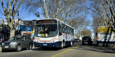 La UNOTT se adhiere al paro del mi�rcoles 15 pero no suspender� sus servicios