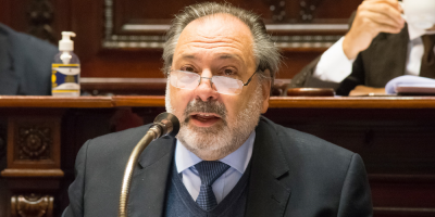 Gandini asegur� que la LUC "se defiende sola" y tiene los votos para no ser derogada