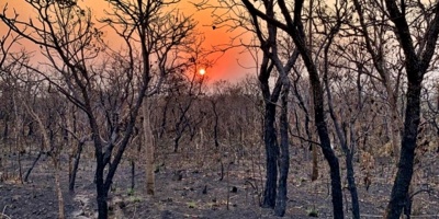 Doce millones de personas sufrir�n calor extremo en la Amazon�a brasile�a