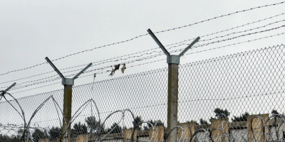 Unos 25 reclusos se amotinaron para reclamar reincorporaci�n de fajinero en el Penal de Libertad