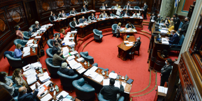 El Senado aprob� la Rendici�n de Cuentas, que regresa a Diputados