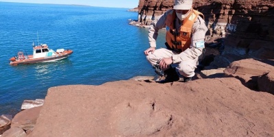 Polic�a argentina descubre huellas de dinosaurio b�pedo en tareas de rutina