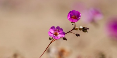 Fin de semana con temperaturas m�nimas muy bajas