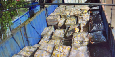 Incautaron m�s de 2 millones de pesos en mercader�a de contrabando