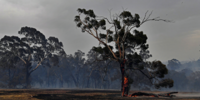 A partir del lunes pr�ximo comenzar� a regir en todo el pa�s, la prohibici�n de fuegos y quemas al aire libre