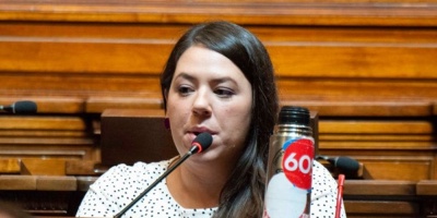 Daz: "Autointerpelacin" del oficialismo busca generar "agenda paralela" para no mostrar "contradicciones"