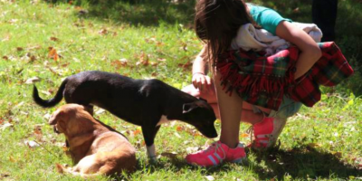 El fin de semana realizarn jornadas de adopcin de mascotas en el Parque Rod