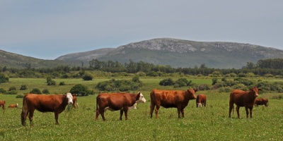 Federacin Rural advierte por dao econmico que generan paros del sindicato crnico