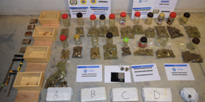 Polica de San Jos descubre cultivo ilegal de marihuana al aclarar un hurto