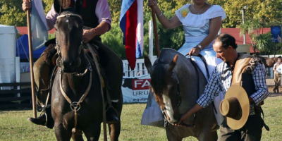 Este fin de semana se celebra la Fiesta de las Aparceras en el Parque Roosevelt con diversos espectculos tradicionalistas