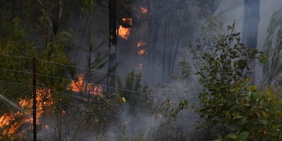 Incendio en La Barra quem siete hectreas de campo