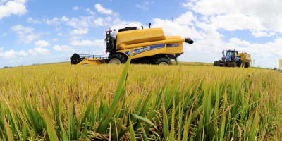 Uruguay super los 8.000 millones de dlares en exportaciones agropecuarias