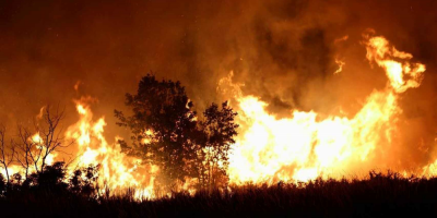 Preocupan en Argentina incendios que asolan zonas de la Patagonia