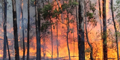 Incendios: Canelones, Paysand y Ro Negro son los ms afectados